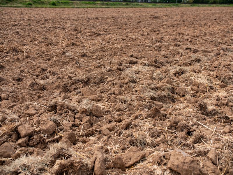 Seasonal Tilling Patterns