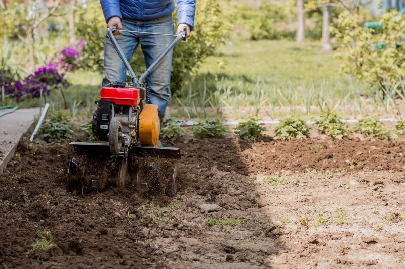 Completed Garden Bed